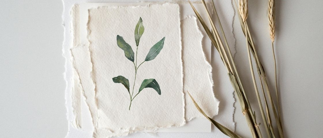 Aquarelle sur fond blanc