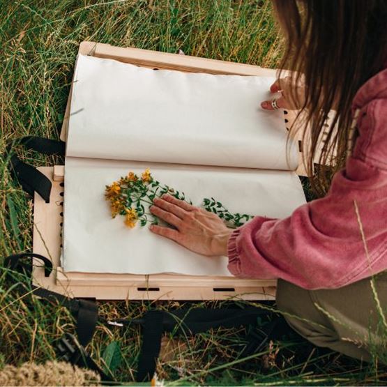 Fleurs séchées dans un carnet