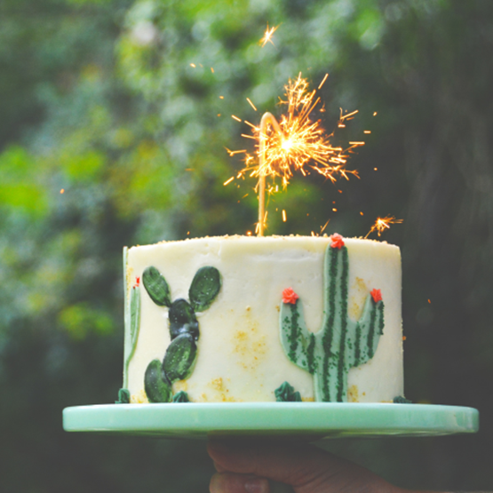 Gâteau en forme de cactus