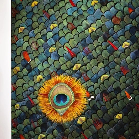 Œuvre de plumasserie avec un motif d’œil de paon sur fond de plumes colorées.