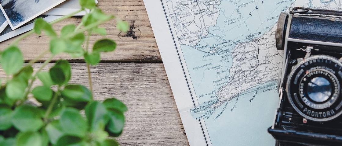 Appareil photo vintage posé sur une carte avec une plante verte en premier plan.