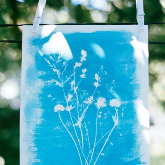 Cyanotype floral suspendu à un fil, représentant des silhouettes de fleurs blanches sur fond bleu, à la lumière naturelle d'été.