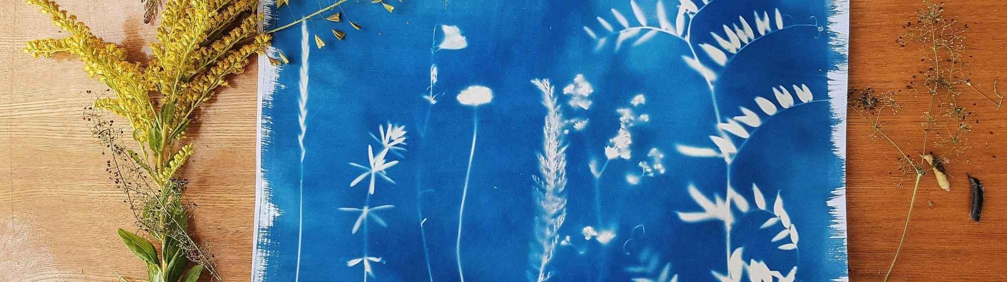 Tirage cyanotype représentant des plantes sauvages sur fond bleu, entouré de fleurs séchées et de tiges sur une table en bois.