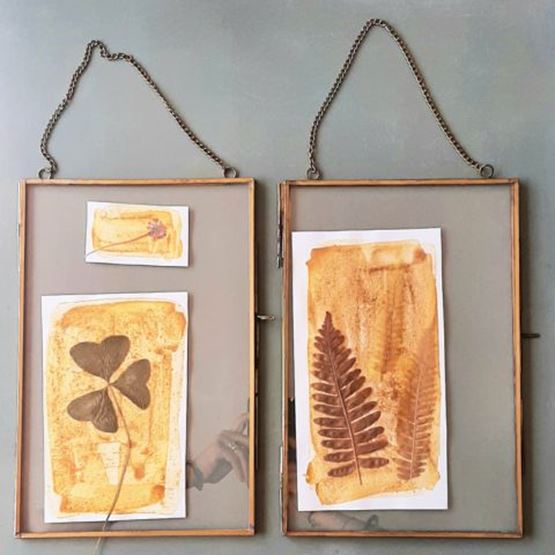 Deux cadres suspendus contenant des impressions botaniques réalisées avec la technique de l’anthotype.