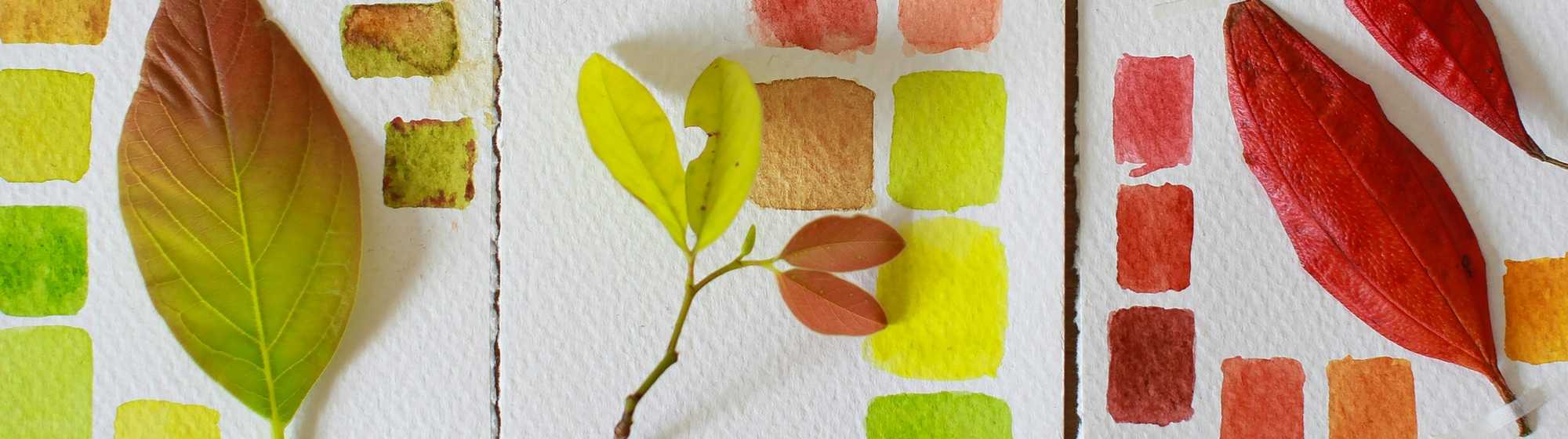 Nuancier de couleurs à l’aquarelle inspiré de feuilles naturelles, avec une palette de peinture.