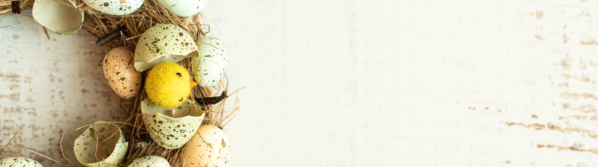 Couronne de Pâques décorée de coquilles d’œufs tachetées et de petits poussins jaunes.