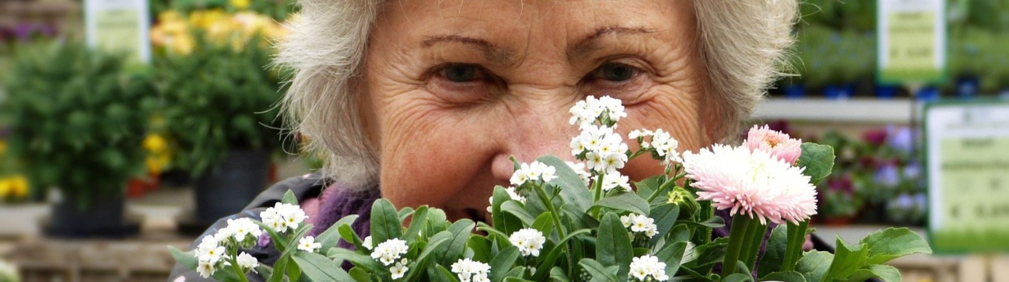 Femme âgée souriante tenant un bouquet de fleurs printanières dans une jardinerie.