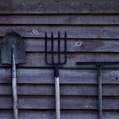 Trois outils de jardinage accrochés à un mur en bois : une pelle, une fourche et un râteau.