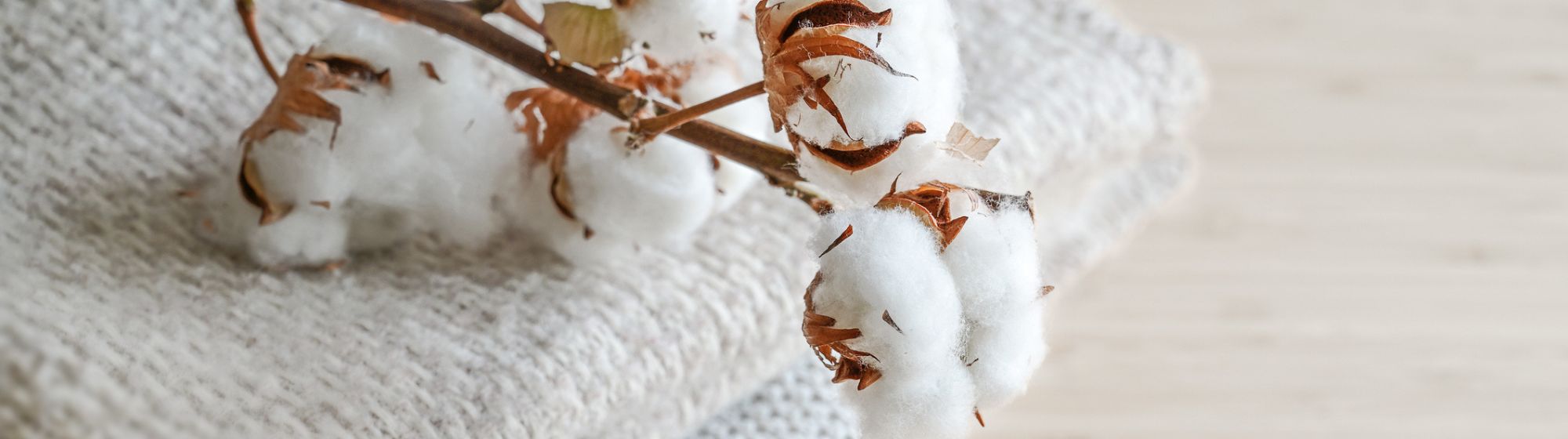 Broderie feuilles d'automne