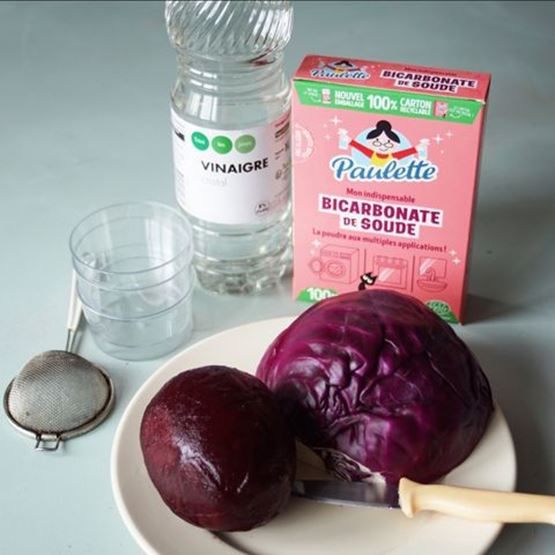Ingrédients pour fabriquer de l’encre végétale : vinaigre, bicarbonate, betterave, chou rouge.