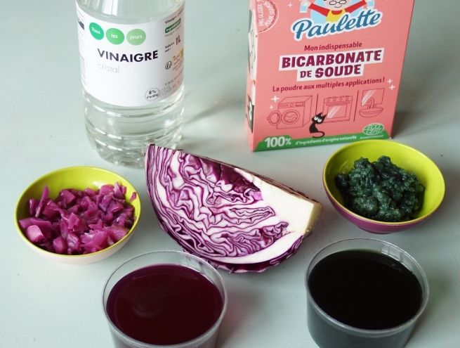 Ingrédients et extraits naturels à base de chou rouge pour la fabrication d'encre végétale.