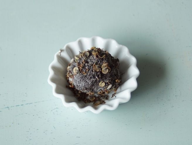 Boule de terre avec graines dans un petit récipient blanc.