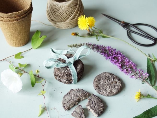 Bombes à graines prêtes, décorées d’un ruban et entourées d’éléments de jardinage.