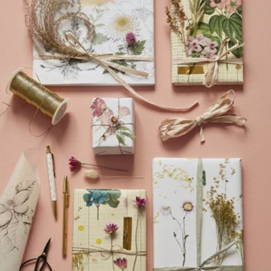 Herbier classique